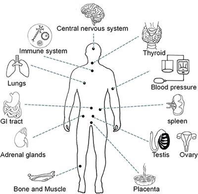 Insights Into the Research Status of Neuromedin U: A Bibliometric and Visual Analysis From 1987 to 2021